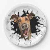 Funny dog face paper Teller (Vorderseite)