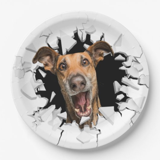 Funny dog face paper Teller (Vorderseite)