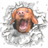 Funny dog face Sticker (Vorderseite)