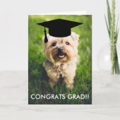 Funny Dog Foto Abschluss Card, Custom Dog Foto Karte (Vorderseite)