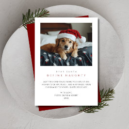Funny Dog Foto Christmas Definition Naughty Red Pe Feiertagskarte