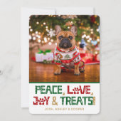 Funny Dog Foto Feiertagskarte (Vorderseite)