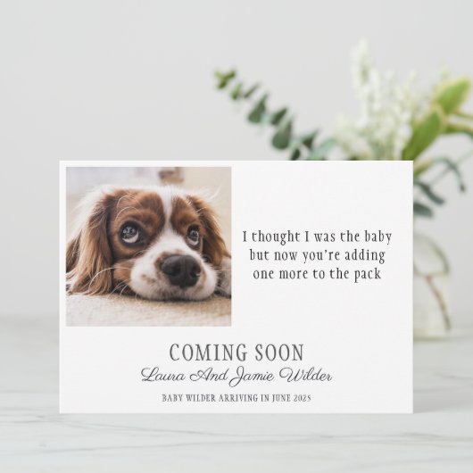 Funny Dog Foto Schwangerschaft Ankündigung (Stehend Vorderseite)
