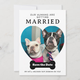 Funny Dog Foto Unsere Menschen werden verheiratet Save The Date