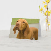 Funny Dog Foto Vizsla Card Karte (Gelbe Blume)