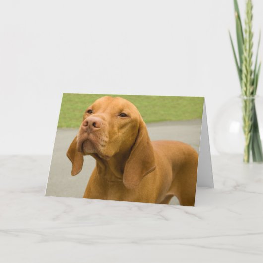 Funny Dog Foto Vizsla Card Karte (Vorderseite)