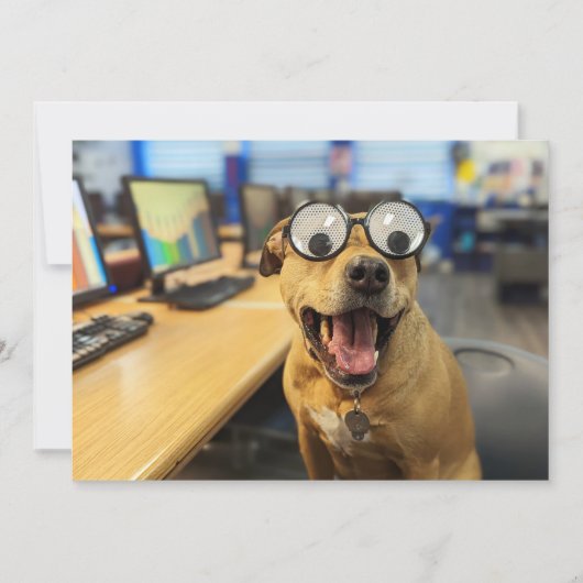 Funny Dog Googly Eyes, farbenfrohe, fröhliche Foto Dankeskarte (Vorderseite)