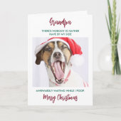 Funny Dog Großhund Opa Pet Foto Weihnachten (Vorderseite)