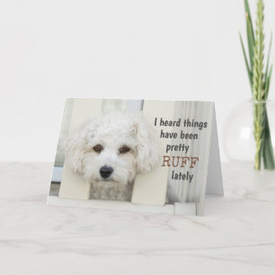 Funny Dog gut bald Ruff Puff Niedlich Motivierend Karte