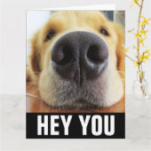 FUNNY DOG HELLO JEDERZEIT GREETKARTE KARTE (Gelbe Blume)