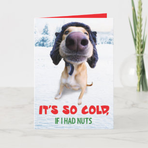 Funny Dog Holiday Card Feiertagskarte