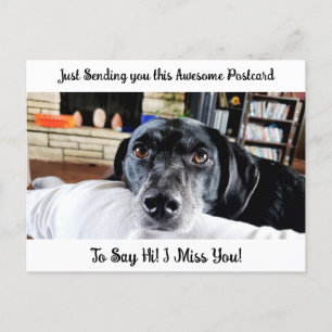 Funny Dog "I Miss YOU" Sprichwort Hi Postcard Postkarte
