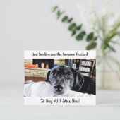 Funny Dog "I Miss YOU" Sprichwort Hi Postcard Postkarte (Stehend Vorderseite)