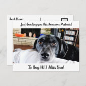 Funny Dog "I Miss YOU" Sprichwort Hi Postcard Postkarte (Vorne/Hinten)
