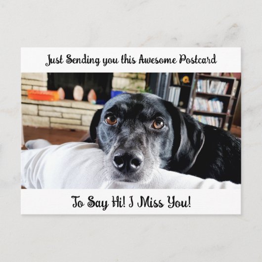 Funny Dog "I Miss YOU" Sprichwort Hi Postcard Postkarte (Vorderseite)