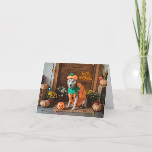 Funny Dog in Halloween-Kostüm Karte (Vorderseite)