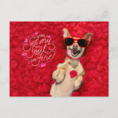 Funny Dog in Rote Rose Petals Happy Valentine's Postkarte (Vorderseite)
