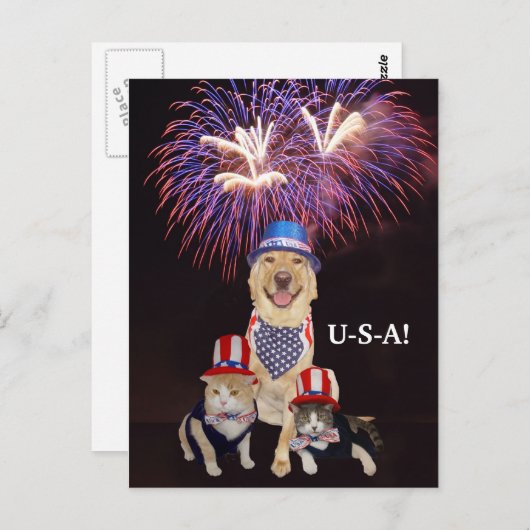 Funny Dog/Katze 4. Juli Postkarte (Vorne/Hinten)