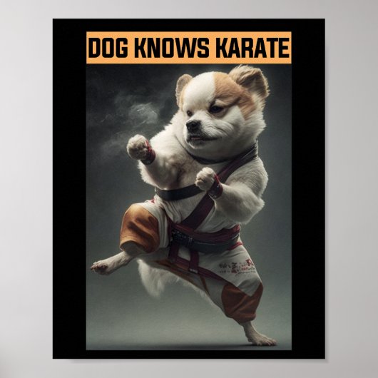 Funny Dog Knows Karate Poster (Vorne)