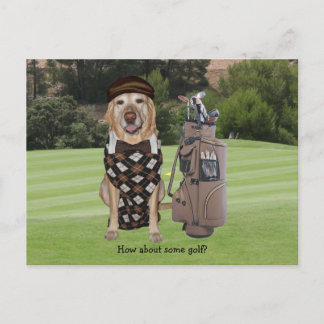 Funny Dog/Labrador auf Golfplatz Postkarte