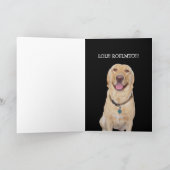 Funny Dog/Labrador Geburtstag Karte (Innenseite)