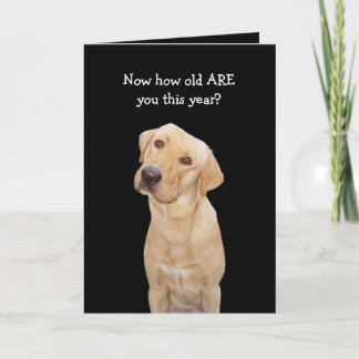 Funny Dog/Labrador Geburtstag Karte