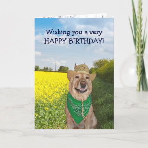 Funny Dog/Labrador No Bull Birthday Karte