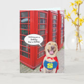 Funny Dog/Labrador Super Birthday Karte (Gelbe Blume)