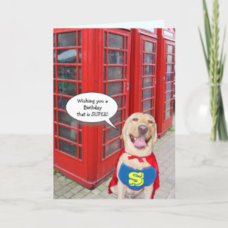 Funny Dog/Labrador Super Birthday Karte
