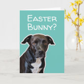 Funny Dog Liebhaber Ostern Sonnenkarte Karte (Gelbe Blume)