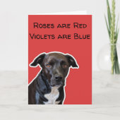 Funny Dog liebt Valentine's Day Card Karte (Vorderseite)