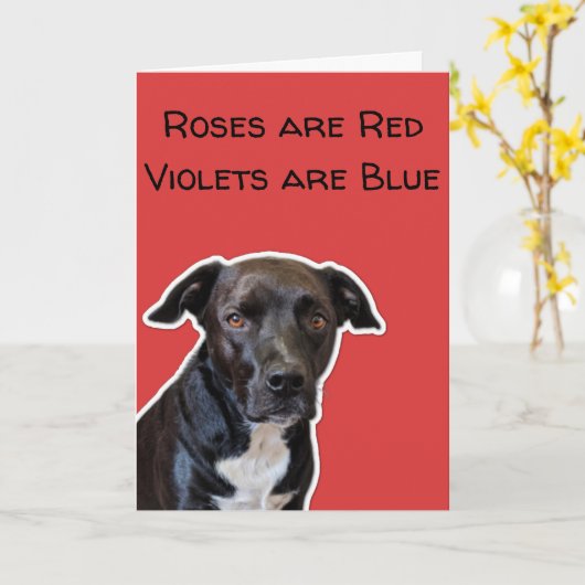 Funny Dog liebt Valentine's Day Card Karte (Gelbe Blume)