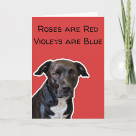 Funny Dog liebt Valentine's Day Card Karte