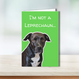 Funny Dog Lovers St. Patrick's Day Card Karte