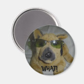 Funny Dog Magnet (Vorderseite/Rückseite)