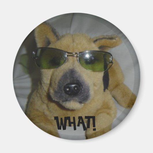 Funny Dog Magnet (Vorne)