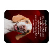Funny Dog Magnet (Horizontal)
