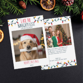 Funny Dog Naughty List Custom Christmas Foto Feiertagskarte