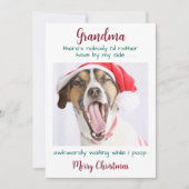 Funny Dog Oma Personalisiert Pet Foto Weihnachten (Vorderseite)