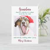 Funny Dog Oma Personalisiert Pet Foto Weihnachten (Stehend Vorderseite)