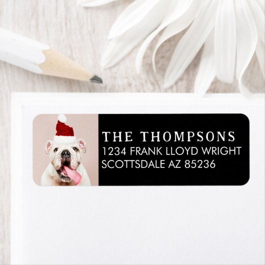 Funny Dog Picture Christmas Card Rücksendeadresse (Insitu)