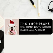 Funny Dog Picture Christmas Card Rücksendeadresse