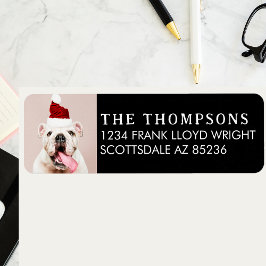 Funny Dog Picture Christmas Card Rücksendeadresse