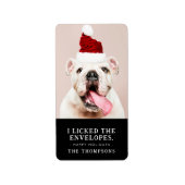 Funny Dog Picture Personalisiertes Weihnachts-Foto Adressaufkleber (Vorne)