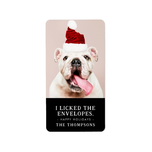 Funny Dog Picture Personalisiertes Weihnachts-Foto Adressaufkleber (Vorne)