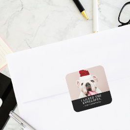 Funny Dog Picture Personalisiertes Weihnachts-Foto Quadratischer Aufkleber