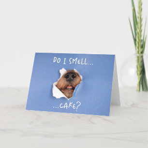 Funny Dog Pinking Through Card - Hund Geburtstagsk Dankeskarte