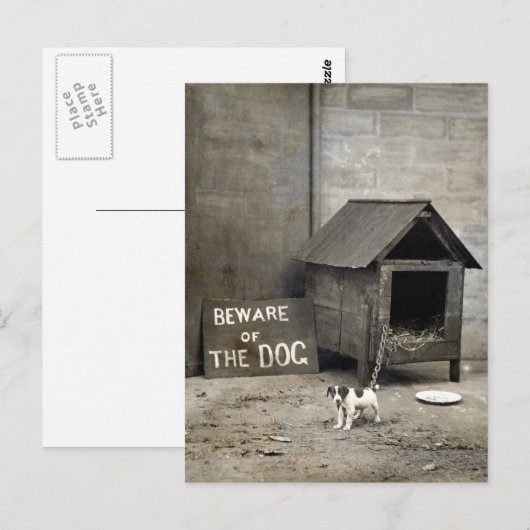 Funny Dog Postards Postkarte (Vorne/Hinten)