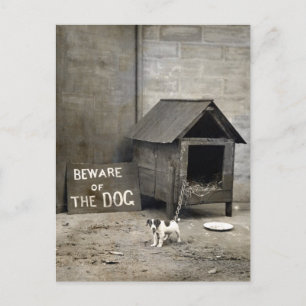 Funny Dog Postards Postkarte