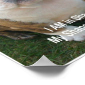 Funny Dog Poster Bulldog Hunde Hunde Kreationarts (Ecke)